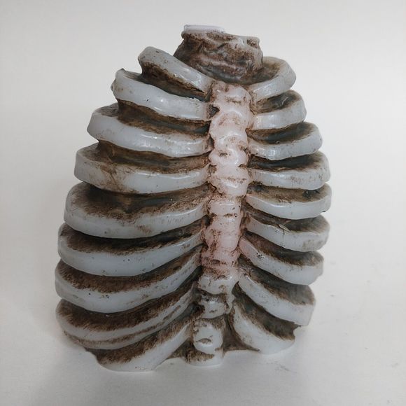 Halloween Bleeding Rib Cage Thorax Candle Wax Red Spooky Decor Party Hum… - Picture 2 of 10